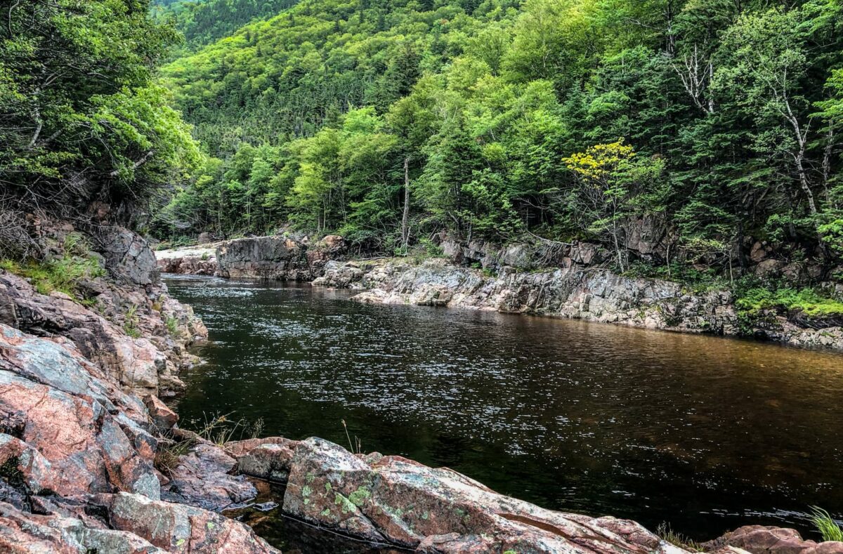 Ausblick auf den Fluss von einem Aussichtspunkt am Salmon Pools Trail